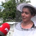 Kako je jedna pčelarka iz Leskovca sačuvala svoje pčele