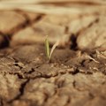 Evropa na ivici klimatske izdržljivosti: Rekordni toplotni talasi i suša pogađaju kontinent Novo