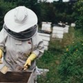 Domaći pčelari odustaju od proizvodnje meda zbog uvezenih falsifikata koji drastično obaraju cenu