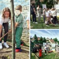 U Petrovaradinu đaci sadili drveće: Projekat TARGET u znaku dece, drveća i Svetskog dana zaštite životne sredine