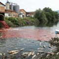 Pomor ribe u bjelici, crvena otpadna voda curila u reku