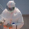 Opasna zaraza se širi u komšiluku: Prvi slučaj virusa Zapadnog Nila potvrđen u još jednoj zemlji
