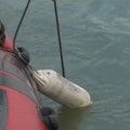 Tragedija u Boljevcima Čoveku pozlilo na čamcu, samo je pao i umro
