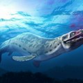 "Plavi zmaj" iz Japana: Pronađeni ostaci drevnog morskog čudovišta koje je iznenadilo naučnike