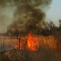 Muškarac se zapalio dok je palio strnjiku kod Bosilegrada: Meštani prijavili da se u njivi nalazi telo