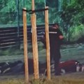 “Druga novosadska racija”: Saopštenje za javnost – Liga socijaldemokrata Vojvodine – Vojvođani Liga socijaldemokrata Vojvodina…