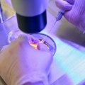 Ruski diplomata pred UN: Biološko oružje razvijano u blizini ruske teritorije
