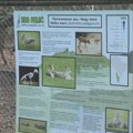 SSP: Radnici Zoo vrta "Palić" dobili otkaze jer su govorili o kršenju veterinarske etike