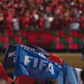 FIFA prodaje travu sa terena finala Mundijala za 450 dolara po komadu