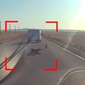 (Uznemirujući video) Dečak (7) ispao iz kombija u pokretu. Kotrljao se po asfaltu, pa za dlaku izbegao smrt! Užas u Rumuniji…