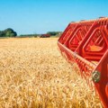 Ukrajina planira da poveća izvoz žita preko luka na Dunavu
