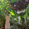 Niko nije očekivao da će preživeti: Dragica iz Užica u svom dvorištu uzgaja banane koje rađaju, žali se samo na jednu…