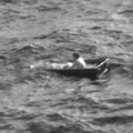 Krenuo da peca, pa nestao: Mladić spasen posle 35 sati provedenih u čamcu u Atlantskom okeanu: "Bio je nasmrt preplašen"