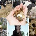 Rekordan izvoz životinja iz Srbije! Od živih goveda najviša zarada, ali prodaju se i gmizavci