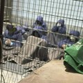 Zvaničnici iz Gaze: Najmanje 135 osakaćenih tela Palestinaca bilo smešteno u ozloglašenom pritvorskom centru u Izraelu