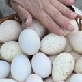 Od 15 do 200 dinara: Potraga za najboljim jajima za Vaskrs i šta kad prodavac baš za vas nađe još samo jedno ispod tezge…