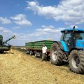 Vojvođanski ratari nezadovoljni otkupnom cenom: Jedna kifla od 60 dinara vredi kao tri kilograma pšenice