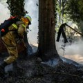 Portugalija: 115 vatrogasaca, 34 vozila i tri protivpožarna aviona gase šumski požar