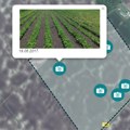 Пољопривредник уништио усеве након што је послушао савет АИ четбота