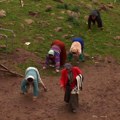 "Obrnuta evolucija"! Porodica iz Turske hoda četvoronoške: Godinama ih mučili, a onda je jedno otkriće sve promenilo