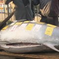 Tuna prodata za 789.000 dolara: Riba je bila teška 238 kilograma i završiće u tokijskim prodavnicama hrane video