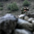 Indija i Pakistan imaju iza sebe istoriju krvavih ratova, ali sad svet treba da se plaši onoga što bi moglo da sledi