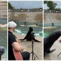 Obavezno pogledajte ovu scenu pored vode! Dok muzičar svira, morski lav mu "pokazuje" šta znači prava publika (video)