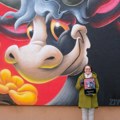Priče o muralima koji su promenili grad: Podrži DUK festival i realizaciju monografije o festivalu