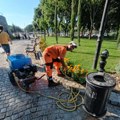JKP „Mediana“ uređuje javne i zelene površine u Nišu: Radovi na više lokacija širom grada