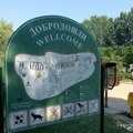“Humanitarni ponedeljak” na Štrandu za Teodoru Smiljanić