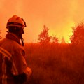 Kako gasiti šumske požare: manje vode, više letelica