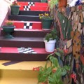 Utočište za nagradu: Vesna je vlasnica najlepšeg dvorišta u Užicu