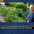 Putevi i mostovi ogrezli u korov i šiblje: Održavanje infrastrukture sve veći problem u Čačku