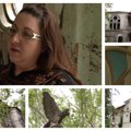 Velika sramota opštine Beočin: Nebrigom doveli svoj najvredniji objekat u devastirano stanje
