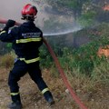 Zapalio se kamion sa plinskim bocama kod Negotina, vozač iskočio iz zapaljenog vozila! Požar izazvao i detonacije boca