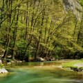 Naše skriveno blago konačno otkriveno? Najčistija srpska reka dobija krunu koju zaslužuje