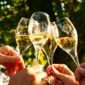 Francuska zbog rekordnih vrućina prvi put dozvolila veći procenat alkohola u proizvodnji šampanjca