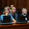 Delegacija Skupštine Srbije u Strazburu: Izbori na Kosovu, Mladić, Sarajevo safari