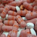 Srbija u vrhu liste otpornosti bakterija na antibiotike