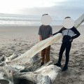 Lobanja misteriozne morske nemani pronađena na obali Kalifornije: Meštani trče da se slikaju pored nje