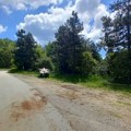 Stravičan prizor kod Čačka: Pet mrtvih pasa i patrone oko njih, policija i forenzičari izašli na teren