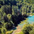 Srpska prašuma u srcu parka prirode „Veliki Jastrebac”, prošarana izvorima čiste mineralne vode