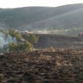 Lokalizovan požar na Ravnoj gori: Vatra zahvatila oko deset hektara makije i niskog rastinja