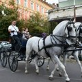 Nedeljne vožnje fijakerima: U Kikindi ponovo besplatan ugođaj za turiste i goste (foto)