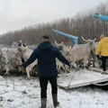 VIDEO: U toku je evakuacija životinja sa Krčedinske ade