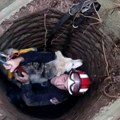 FOTO: Vatrogasci spasili štene koje je kod Velikog Gradišta upalo u bunar dubok 15 metara