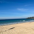 Ajkula napala ženu na popularnoj plaži. Svedoci opisali jezivu scenu: "Čuli smo kako vrišti, a onda se upalio alarm"