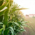 Prilagođavanje klimatskim promenama jedan od ključnih izazova za proizvođače u budućnosti