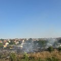(Foto) Požar lokalizovan. Vatrogasci obuzdali vatru u Smederevskoj Palanci: Ekipe i dalje u pripravnosti