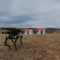 Na vojnoj vežbi na Pešteru prikazani robotski psi, Vučić: "Pravimo digitalnu vojsku"